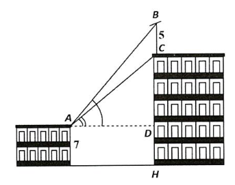 Hình minh họa câu hỏi
