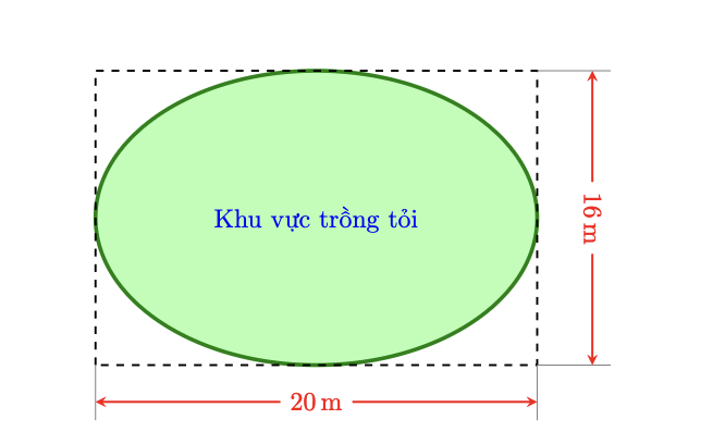 Hình minh họa câu hỏi